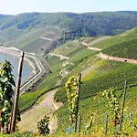 Apartamento Rheinweinboppard 2 - Mit Rheinblick *