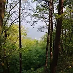 Rheinweinboppard 2 - Mit Rheinblick
