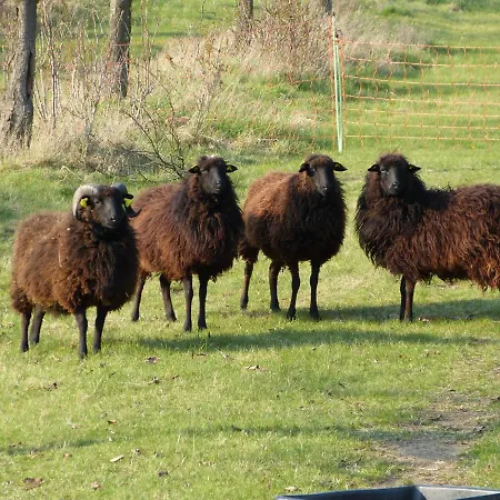 Rheinweinboppard 2 - Mit Rheinblick