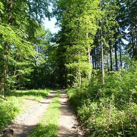 Apartament Rheinweinboppard 2 - Mit Rheinblick