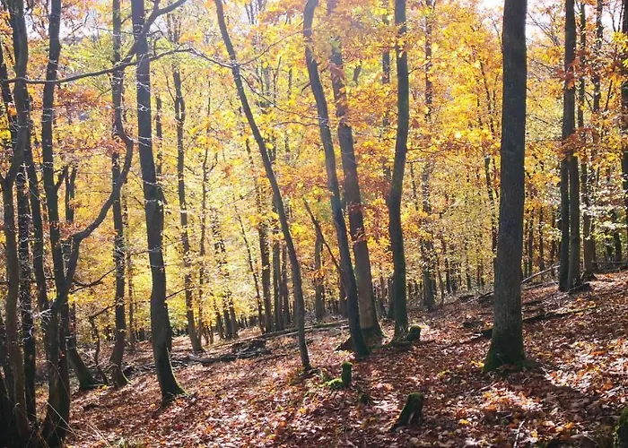 Rheinweinboppard 2 - Mit Rheinblick *