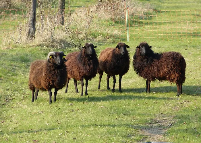 Rheinweinboppard 2 - Mit Rheinblick