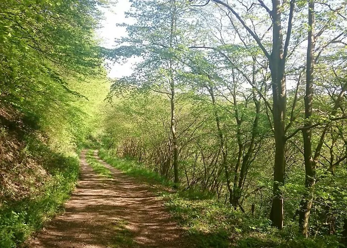 Rheinweinboppard 2 - Mit Rheinblick Boppard