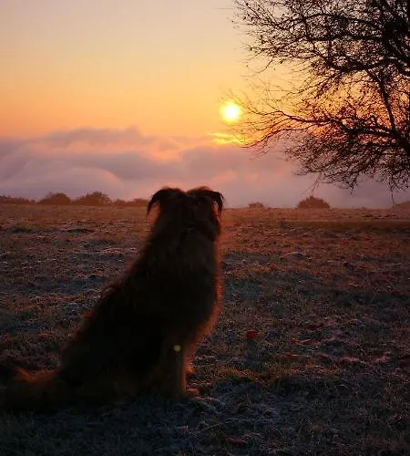 Rheinweinboppard 2 - Mit Rheinblick Apartamento *