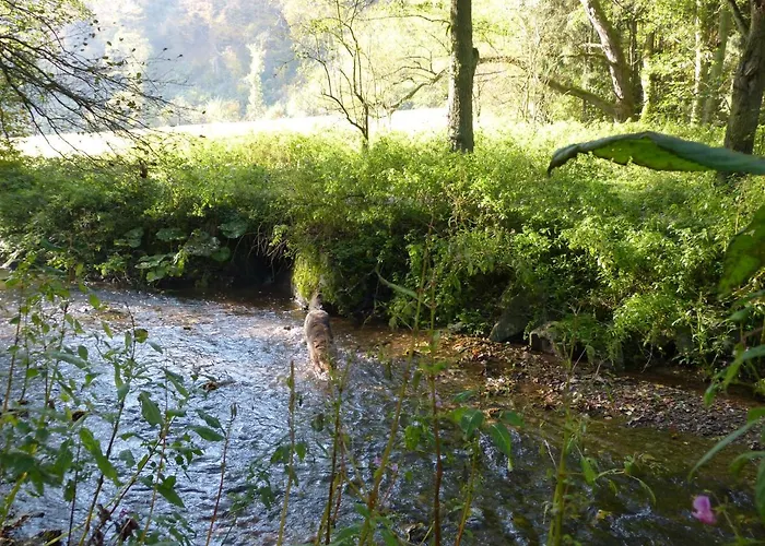 Rheinweinboppard 2 - Mit Rheinblick *