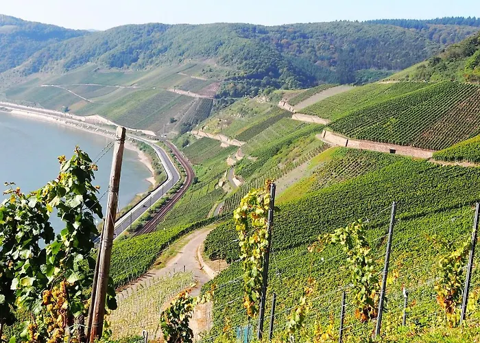 Apartment Rheinweinboppard 2 - Mit Rheinblick *