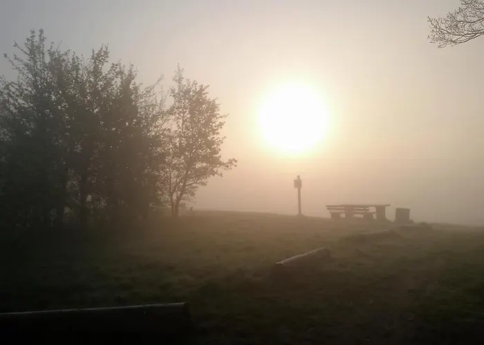 Rheinweinboppard 2 - Mit Rheinblick