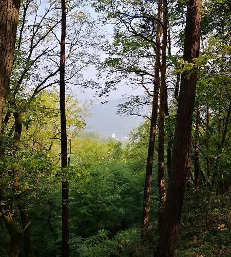 Rheinweinboppard 2 - Mit Rheinblick