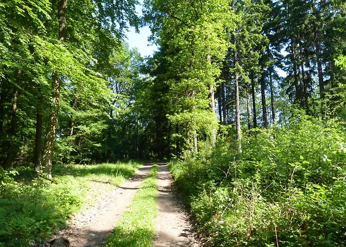 Apartamento Rheinweinboppard 2 - Mit Rheinblick